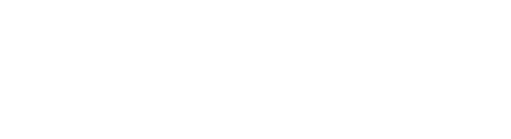 Fintech Partner